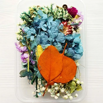 Posušeno Cvetje Paket Mešani Večno Cvetje in Listje za DIY Aromaterapija Sveče voščilnico Epoksi Obrti Dekor NW