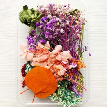 Posušeno Cvetje Paket Mešani Večno Cvetje in Listje za DIY Aromaterapija Sveče voščilnico Epoksi Obrti Dekor NW