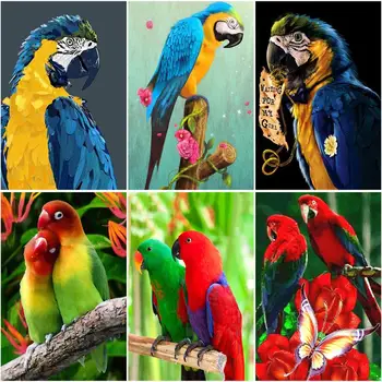 RUOPOTY Okvir, Barvanje Z Številkami Za Odrasle Papiga Risanje, Barvanje Z Številkami Živali Ročno Akril Barva Za notranjo Opremo