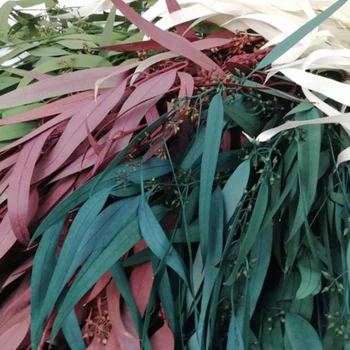 Naravni Posušeni Cvetovi Eucalyptus Proso Listov Eternell Konzervirane Cvet Cvetni Rastlin, Trave, Poroka, Poroka Dekoracija Posuši Cvet