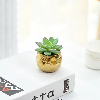 Umetne rastline mini bonsaj ponaredek succulents s zlati lonec zelena rastlina doma dekor/mladi desk/soba dekoracijo/vrt dekor 1pc