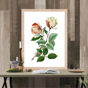 Nordijska Cvet Plakatov in Fotografij Botanični Platno Slikarstvo Moderna Spalnica, Dnevna Soba Dekoracijo Doma Rose Wall Art Slike